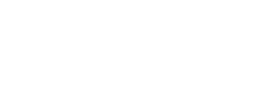 Logo De Wikkelaar wit